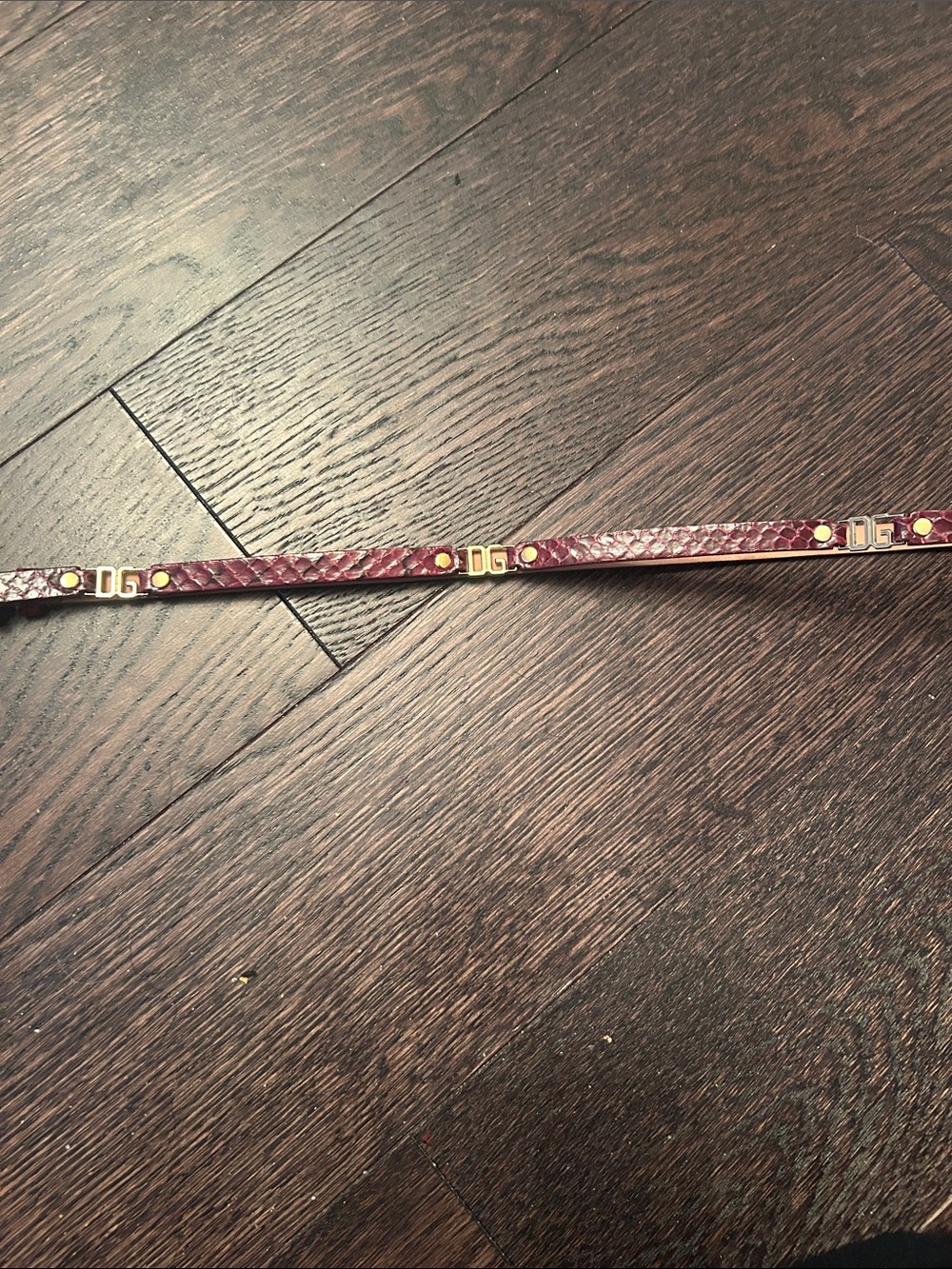 Gold-Accented Burgundy Snake-Texture Women’s Belt